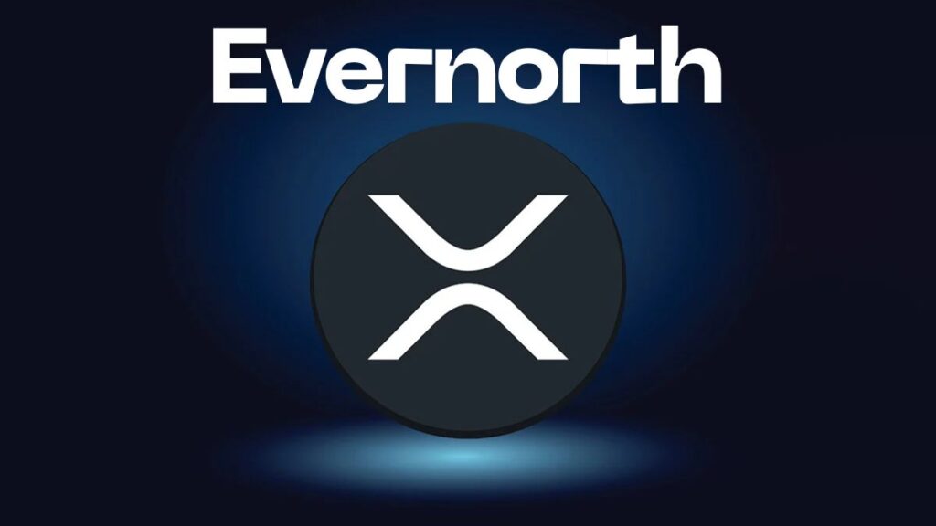 Evernorth Acumula 261 Millones de XRP para Crear la Mayor Tesorería del Token